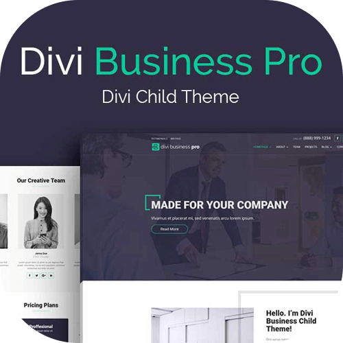 Divi Business Pro