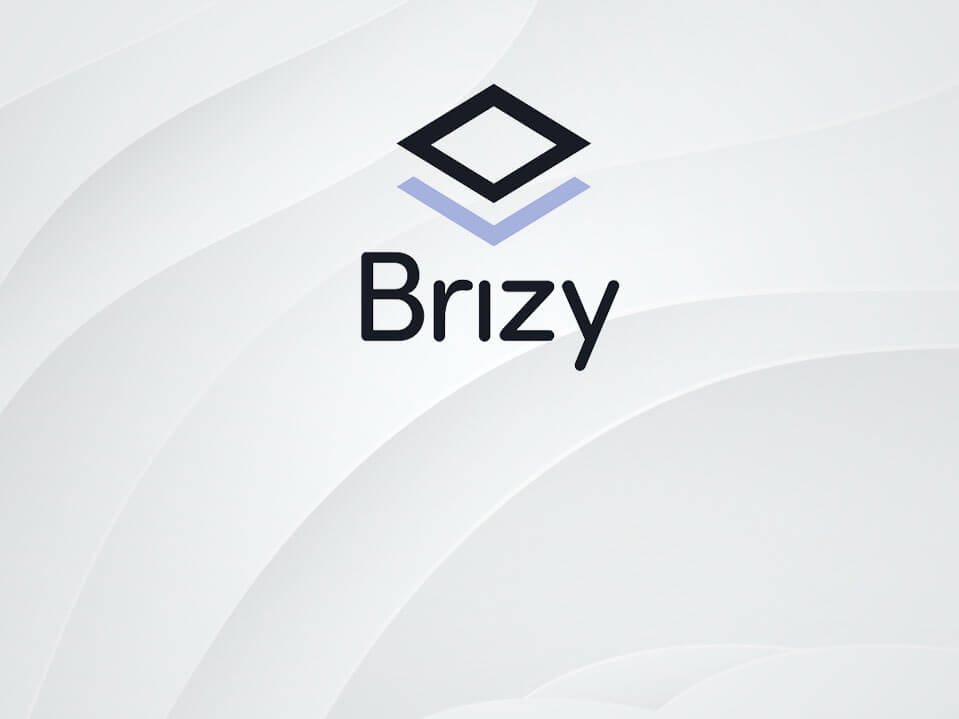 Brizy