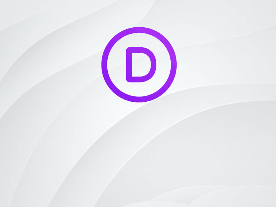 Divi Theme