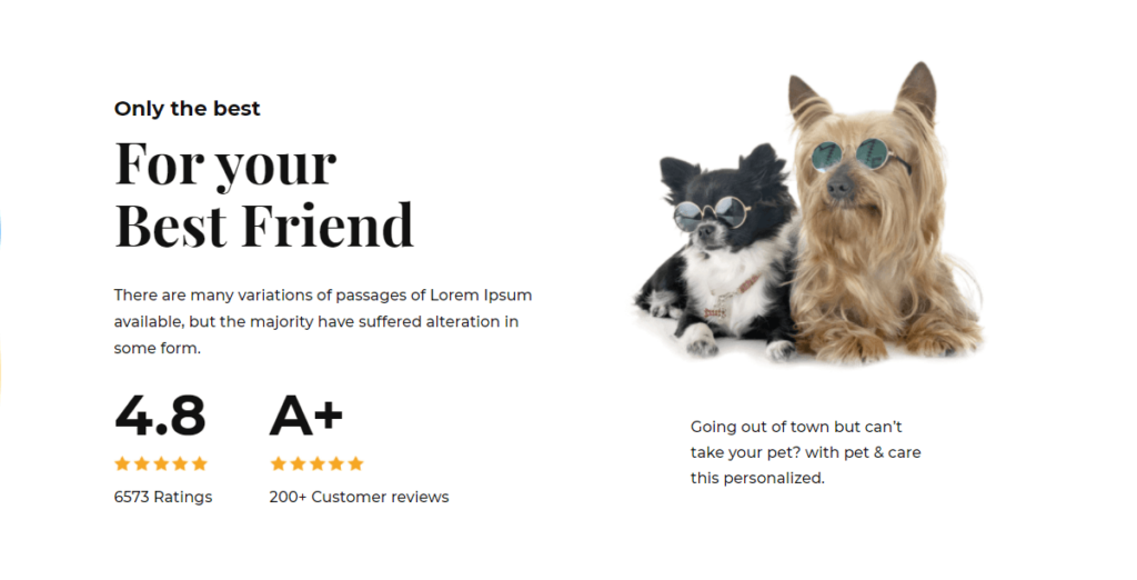 Pet hospital homepage template by Divi Monk
