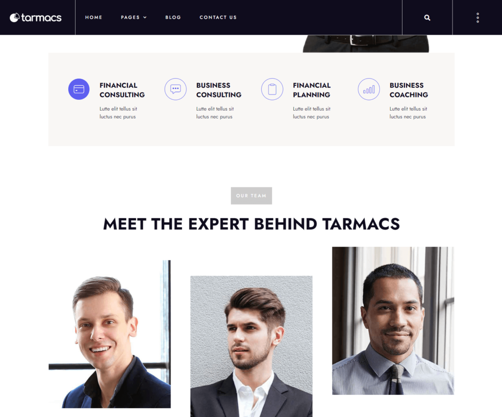 Team page of Tarmacs Elementor template kit