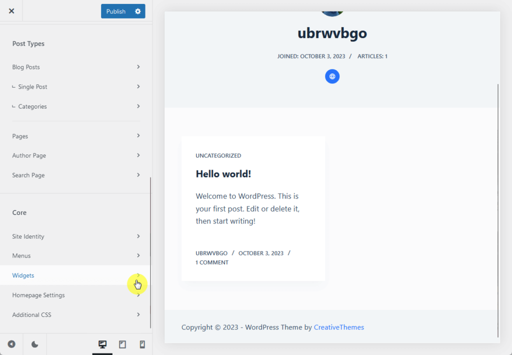 blocksy’s widget option in the customizer