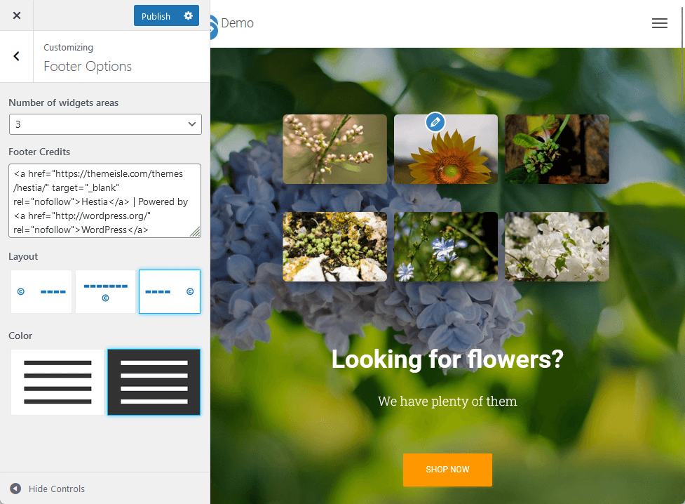 customizing the footer options with hestia pro