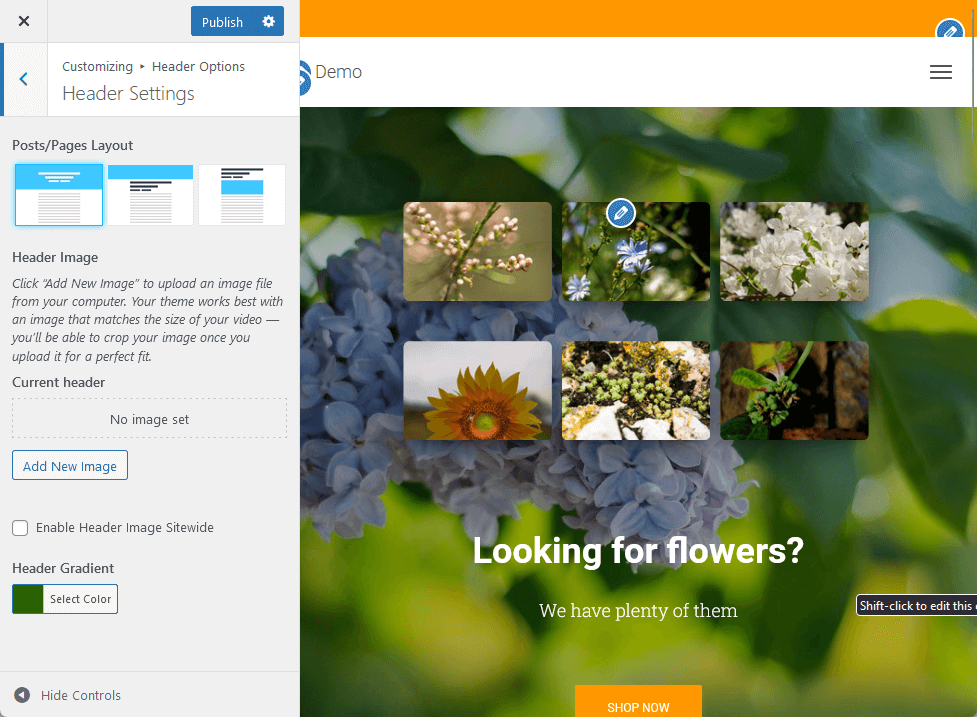 customizing the header options with hestia pro