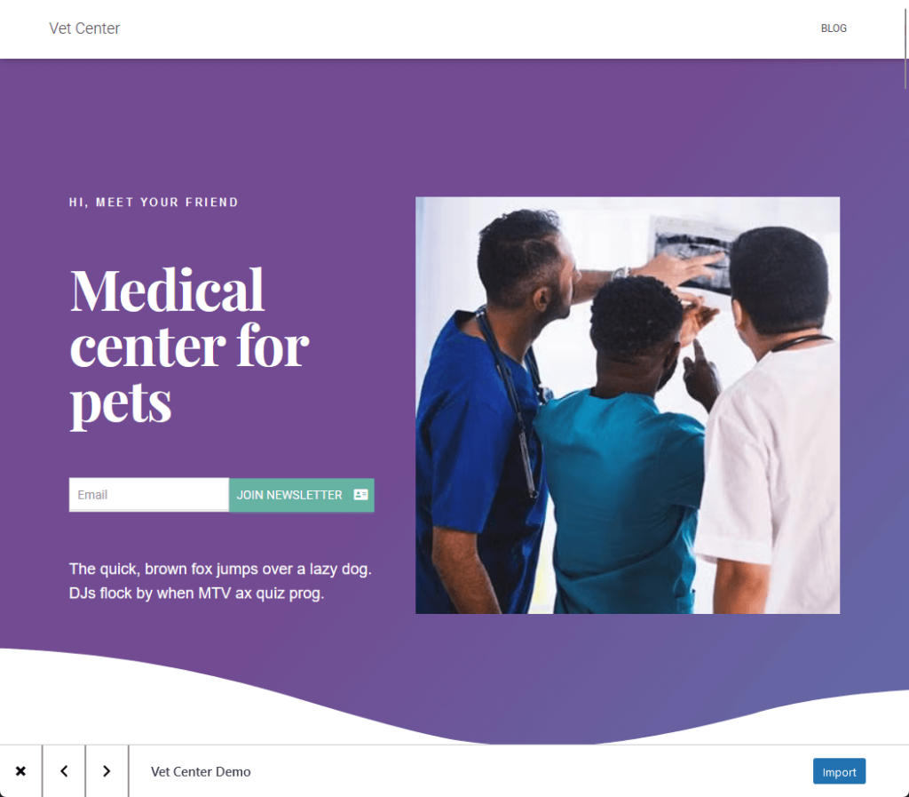 preview screen of a demo site of the hestia theme